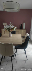 Photo de galerie - Rappel de vieux rose dans séjour 