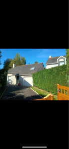 Photo de galerie - Taille de haie après 