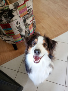 Photo de galerie - La joyeuse Urka 