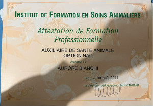 Photo de galerie - Diplôme auxiliaire de santé animale