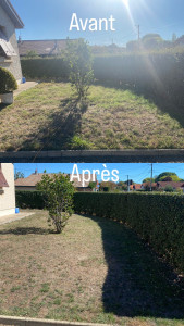 Photo de galerie - Taille de haies et d'arbustes