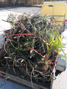 Photo de galerie - Évacuation déchets - Gravats