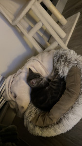 Photo de galerie - Uchi