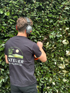 Photo de galerie - Taille de haie 