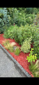 Photo de galerie - Paysagiste - Aménagement du jardin