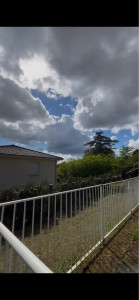 Photo de galerie - Élagage d’une haie