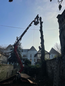 Photo de galerie - Abattage d’un arbre à Nacelle