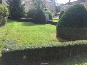 Photo de galerie - Paysagiste - Aménagement du jardin