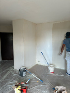 Photo de galerie - ENDUIT de lissage de murs