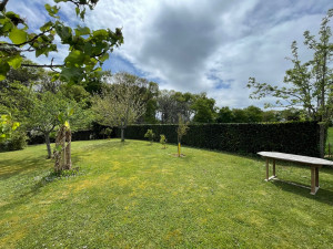 Photo de galerie - Taille de haie 