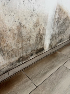 Photo de galerie - Dégâts des eaux 