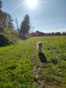 Photo de galerie - Balade en campagne 