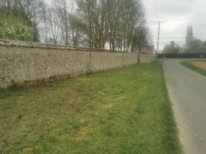 Photo de galerie - Débroussailleuse