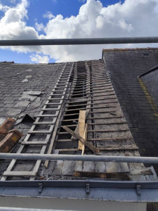 Photo de galerie - Découverte 