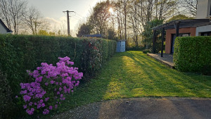 Photo de galerie - Taille de haie
tonte de pelouse