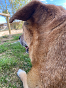 Photo de galerie - Photo envoyée au propriétaire 