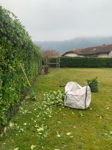 Photo de galerie - Taille de haies et d'arbustes