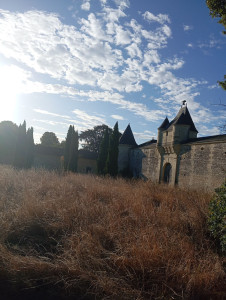 Photo de galerie - Entretien du château 