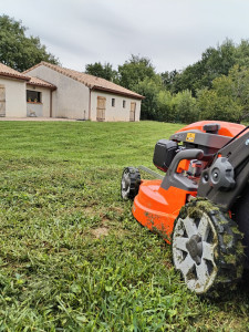 Photo de galerie - Tonde de gazon