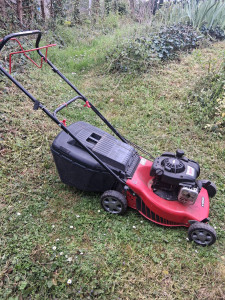 Photo de galerie - A louer tondeuse auto tractée 
révisée 