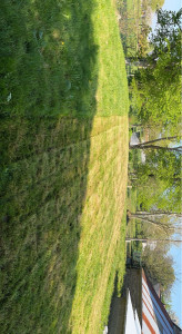 Photo de galerie - Pendant la tonte 