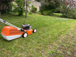 Photo de galerie - Tonte de pelouse - Débroussaillage