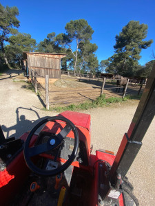Photo de galerie - Plusieurs années d’expérience dans le cheval 