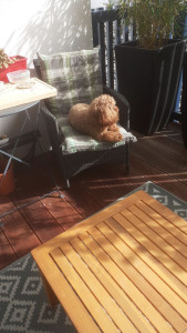 Photo de galerie - Ma petite que j ai garde 3 semaines