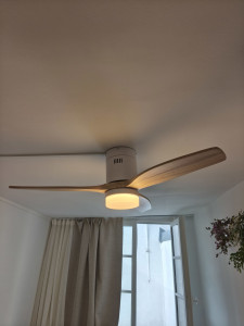 Photo de galerie - Ventilateur avec lumière 