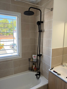 Photo de galerie - Installation colonne de douche 