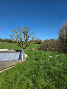 Photo de galerie - Taille d'adaptation  concernant la piscine