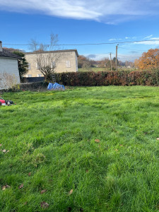 Photo de galerie - Tonte d’herbe 