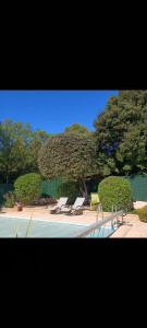 Photo de galerie - Taille d'arbuste et petit chêne vert