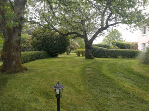 Photo de galerie - Entretien de jardin