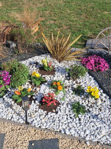 Photo de galerie - -plantation de plante dans un massif .