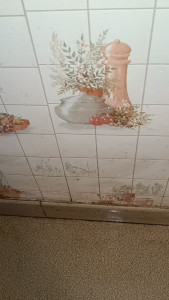 Photo de galerie - Ménage