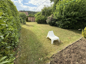 Photo de galerie - Tonte de pelouse 