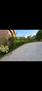 Photo de galerie - Tonte et plantation 