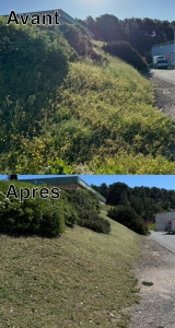 Photo de galerie - Tonte de pelouse - Débroussaillage