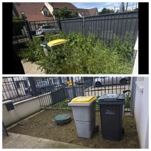 Photo de galerie - Debroussaillage 