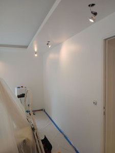 Photo de galerie - Peinture  velours 