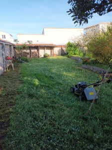 Photo de galerie - Tonte de pelouse - Débroussaillage