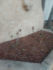 Photo de galerie - Service 