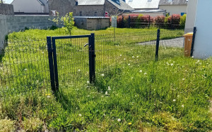 Photo de galerie - Tonte de pelouse et débroussaillage (Avant)