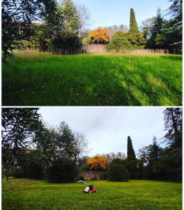 Photo de galerie - Tonte de pelouse - Débroussaillage