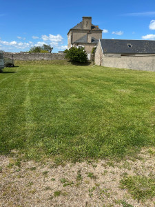 Photo de galerie - Tonte