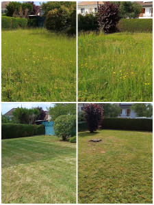 Photo de galerie - Paysagiste - Aménagement du jardin