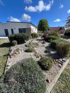 Photo de galerie - Pendant le désherbage 