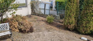 Photo de galerie - Dessouchage