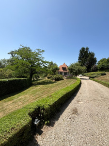 Photo de galerie - Taillage de haies/ tontes 